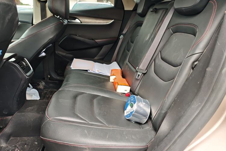 Used BORGWARD BX5 2020 20TGDI Automatic Two-Wheel Drive Pioneer Edition Left Rear Seat