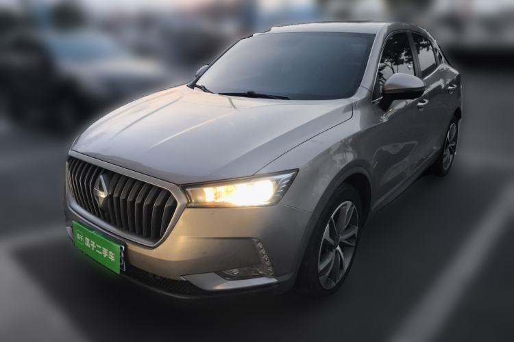 BORGWARD BX6 2018