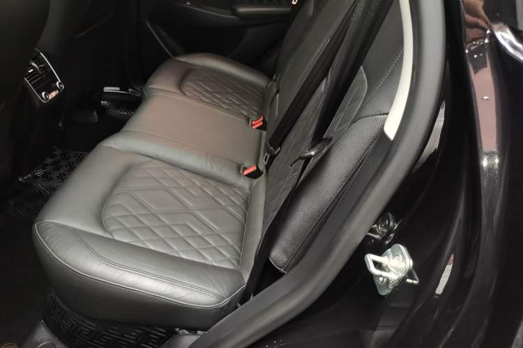 Used BORGWARD BX7 2016 28T Four-Wheel Drive Flagship Version 5 Seats Left Rear Seat
