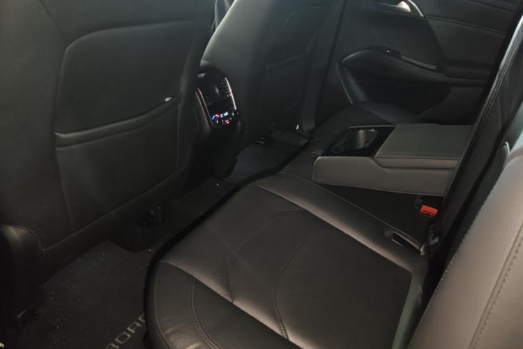 Used BORGWARD BX7 2016 28T 2WD Luxury Edition 7-seater Left Rear Seat