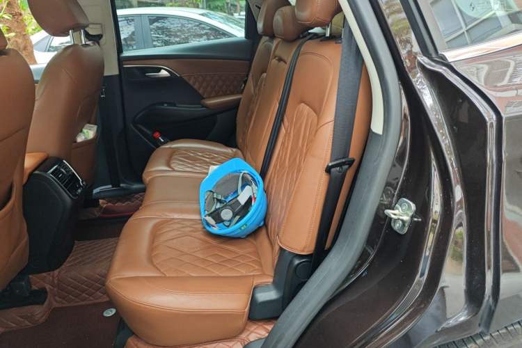Used BORGWARD BX7 2016 28T Four-wheel Drive Flagship Version 7 Seats Left Rear Seat