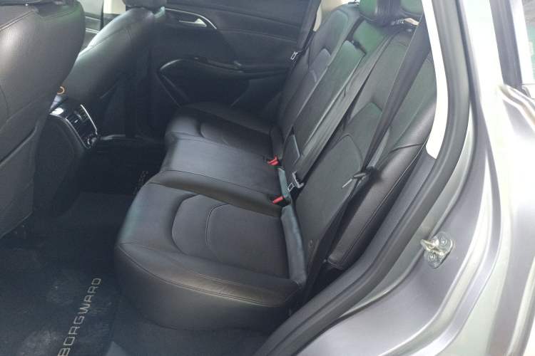 Used BORGWARD BX7 2016 28T Four-wheel Drive Luxury Edition 5 Seats Left Rear Seat