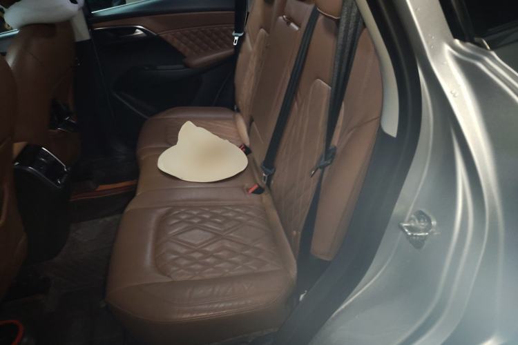 Used BORGWARD BX7 2016 28T Four-Wheel Drive Flagship Version 5 Seats Left Rear Seat
