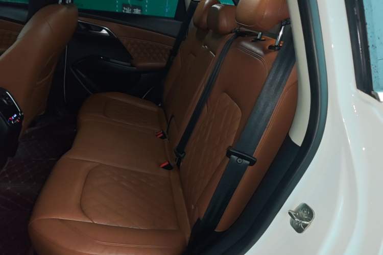 Used BORGWARD BX7 2016 28T Four-Wheel Drive Flagship Version 5 Seats Left Rear Seat
