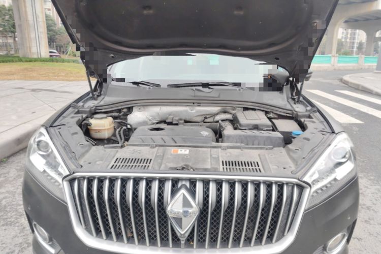 Used BORGWARD BX7 2018 28T Two-Wheel Drive Luxury Version 5 Seats China V Emission Standard Engine Bay