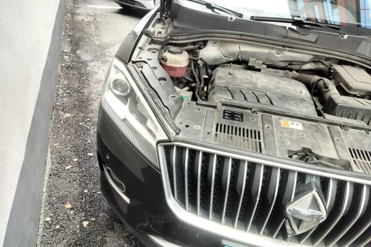 Used BORGWARD BX7 2018 28T 2WD Premium 5-seater National V Engine Bay Right