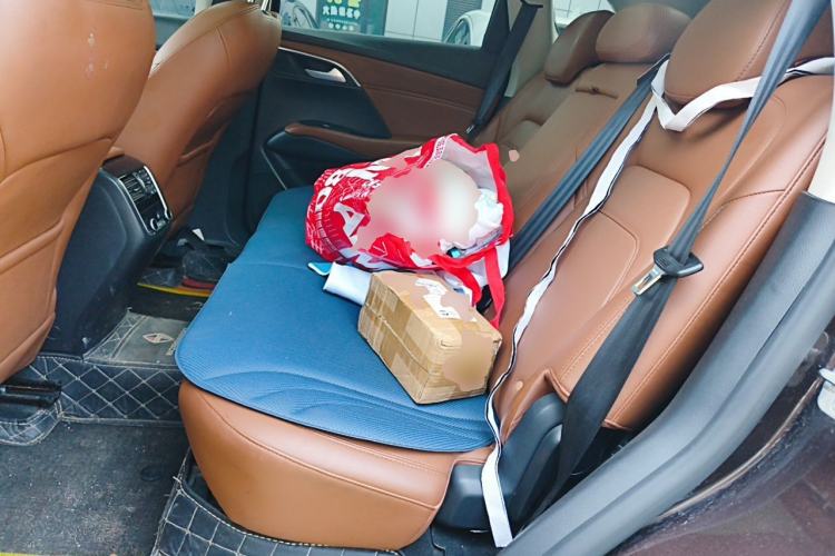 Used BORGWARD BX7 2018 28T 2WD Quality Enjoyment Version 7 Seats China V Emission Standard Left Rear Seat