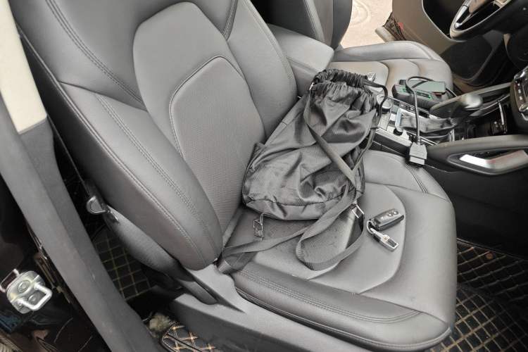 Used BORGWARD BX7 2018 28T Two-Wheel Drive Premium 7-Seater China VI Right Front Seat