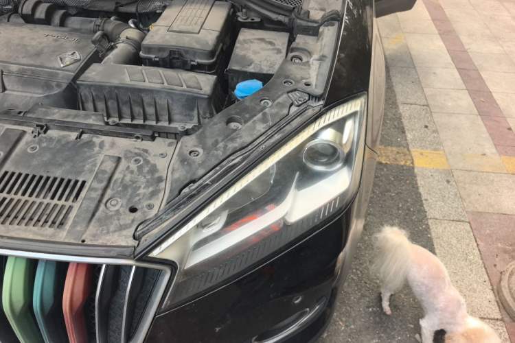 Used BORGWARD BX7 2018 28T 2WD Premium 5-seater National V Engine Bay Left