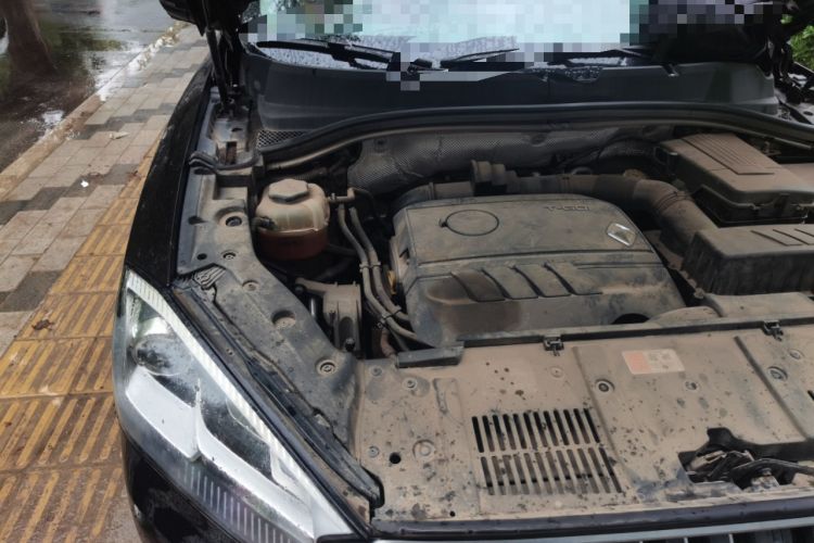 Used BORGWARD BX7 2018 28T Two-Wheel Drive Premium 7-Seater China VI Engine Bay Right