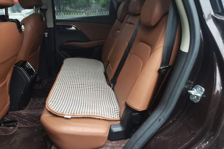 Used BORGWARD BX7 2018 28T Two-Wheel Drive Premium 7-Seater China VI Left Rear Seat