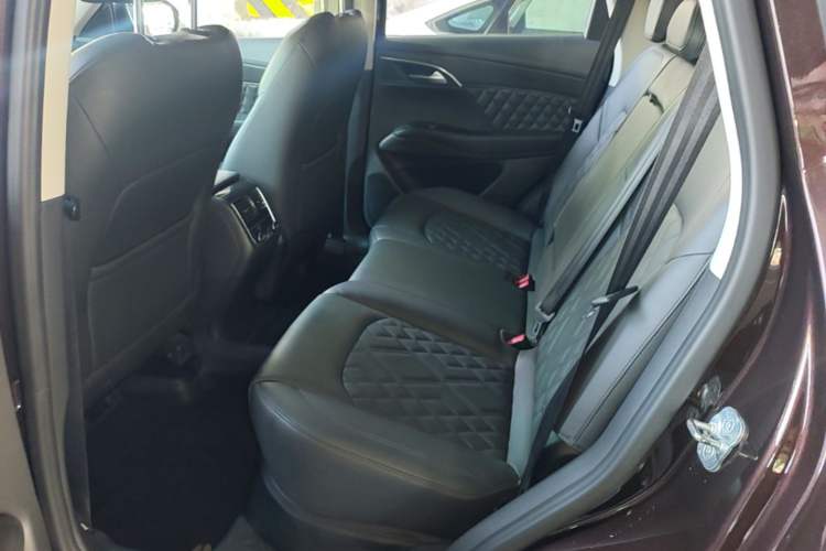 Used BORGWARD BX7 2018 28T Two-Wheel Drive Luxury Version 5 Seats China VI Emission Standard Left Rear Seat