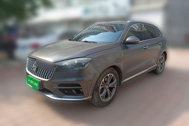 Used BORGWARD BX7 2018 2.0T TS Four-Wheel Drive Luxury Version China V