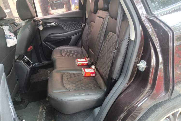 Used BORGWARD BX7 2018 28T Two-Wheel Drive Luxury Version 5 Seats China V Emission Standard Left Rear Seat