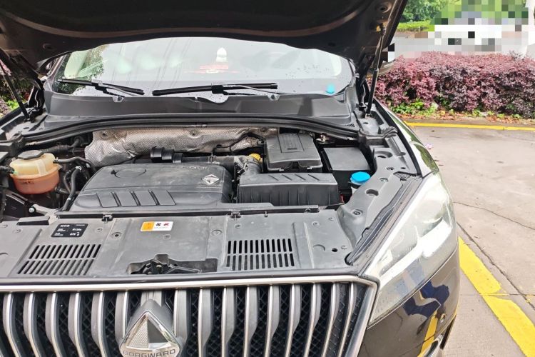 Used BORGWARD BX7 2018 28T 2WD Premium 5-seater National V Engine Bay Left