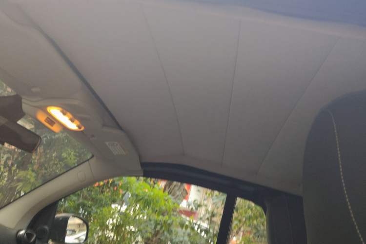 Used Brabus smart fortwo  Headliner