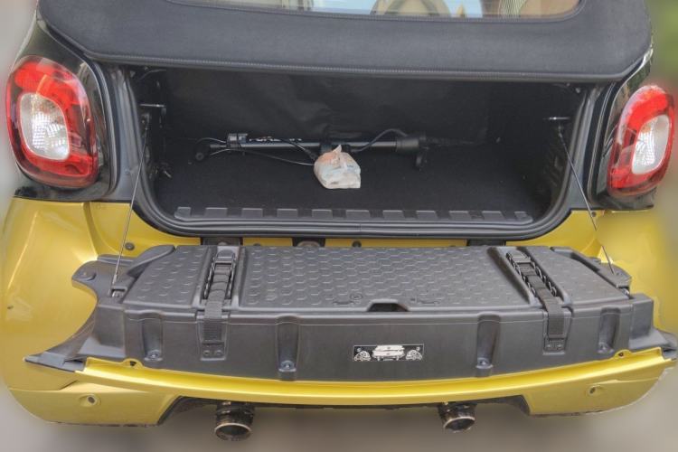 Used Brabus smart fortwo  Trunk