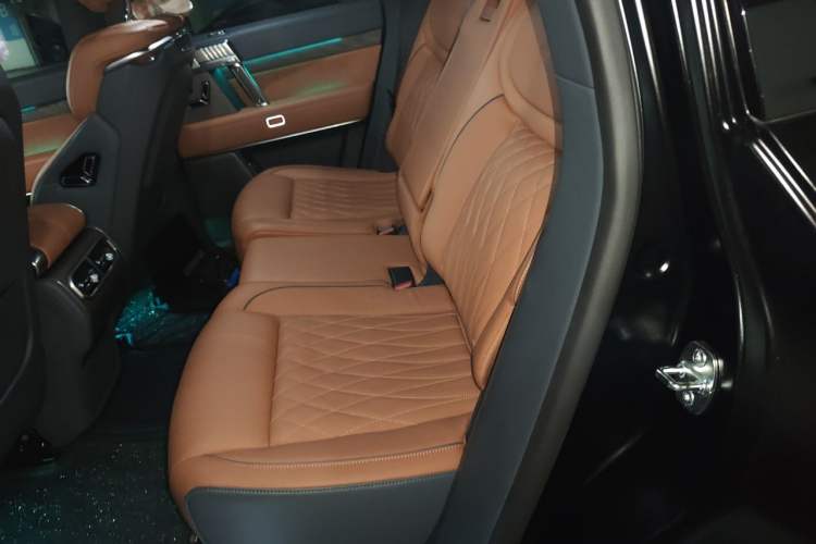 Used Brave warrior 917 2023 Range-Extended Base Model Left Rear Seat