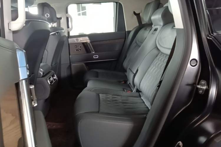 Used Brave warrior 917 2023 Range-Extended Base Model Left Rear Seat