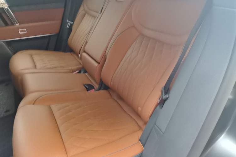 Used Brave warrior 917 2023 Range-Extended Base Model Left Rear Seat