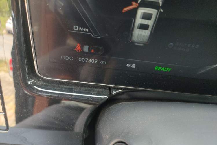 Used Brave warrior 917 2023 Range-Extended Base Model Odometer Close Up