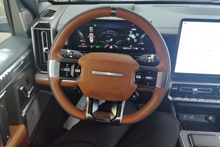 Used Brave warrior 917 2023 Range-Extended Base Model Steering Wheel