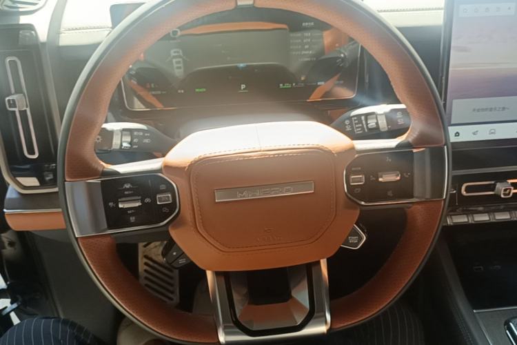 Used Brave warrior 917 2023 Range-Extended Base Model Steering Wheel