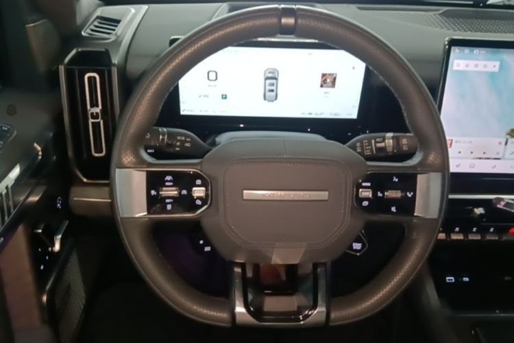 Used Brave warrior 917 2023 Range-Extended Base Model Steering Wheel