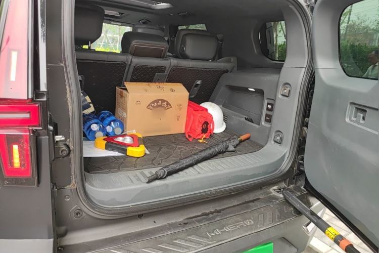 Used Brave warrior 917 2023 Range-Extended Base Model Trunk