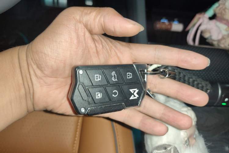 Used Brave warrior 917 2023 Range-Extended Base Model Vehicle Key