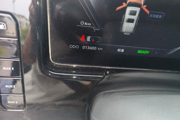 Used Brave warrior 917 2023 Range-Extended Base Model Odometer Close Up