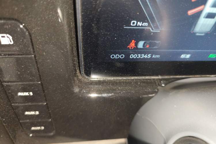 Used Brave warrior 917 2023 Range-Extended Base Model Odometer Close Up