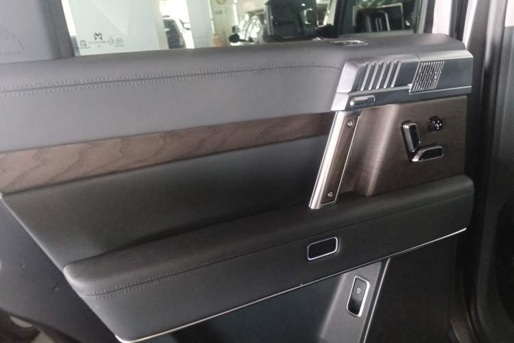 Used Brave warrior 917 2023 Range-Extended Base Model Left Rear Door Interior