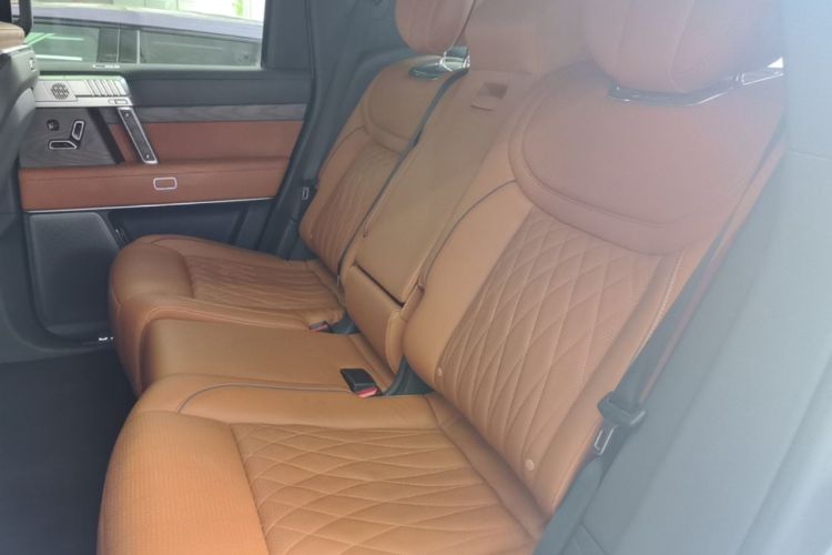 Used Brave warrior 917 2023 Range-Extended Base Model Left Rear Seat