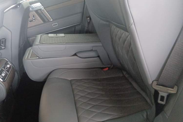 Used Brave warrior 917 2023 Range-Extended Base Model Left Rear Seat