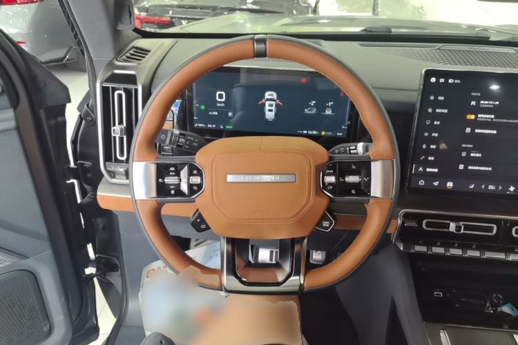 Used Brave warrior 917 2023 Range-Extended Base Model Steering Wheel