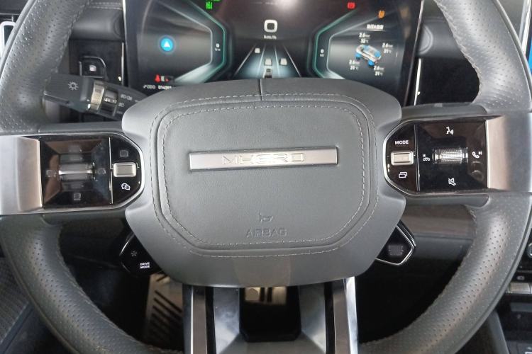 Used Brave warrior 917 2023 Range-Extended Base Model Steering Wheel