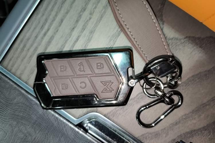Used Brave warrior 917 2023 Range-Extended Base Model Vehicle Key