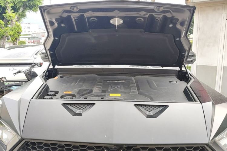 Used Brave warrior 917 2024 Extended-Range Highland Lion Edition Engine Bay