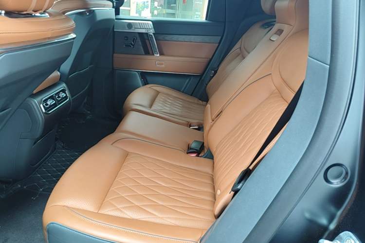 Used Brave warrior 917 2024 Extended-Range Highland Lion Edition Left Rear Seat
