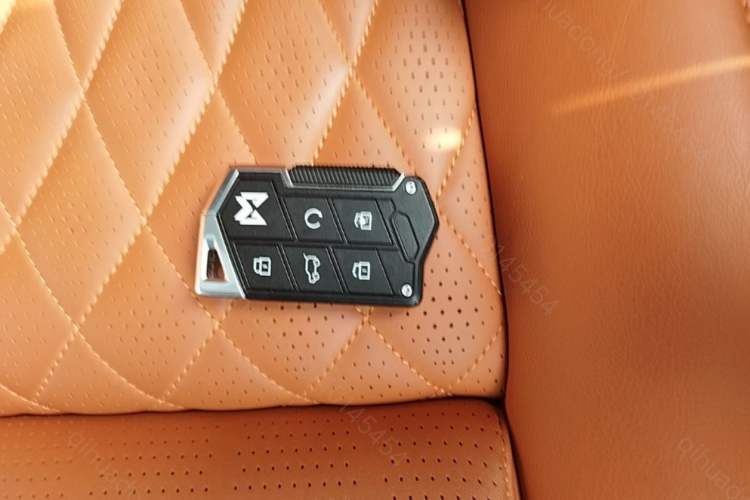 Used Brave warrior 917 2026 Model Range-Extended Base Version Interior 1