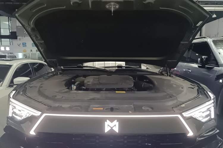 Used Brave warrior M817 2025 Model, Max Engine Bay