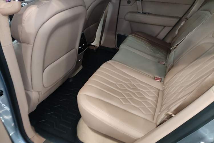 Used Brave warrior M817 2025 Model, Pro Left Rear Seat