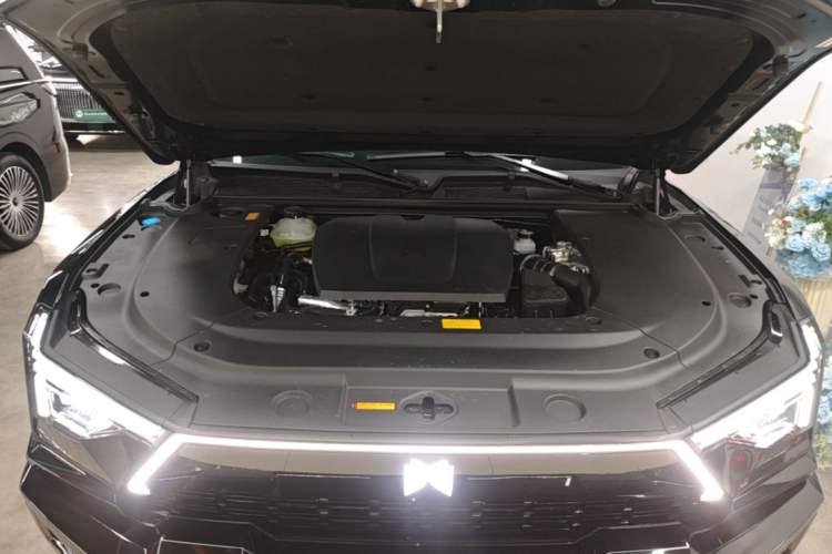 Used Brave warrior M817 2026 Model Max+ Engine Bay
