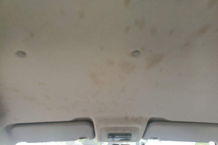 Used Brilliance H220 2014 1.5L Manual Comfort Model Headliner