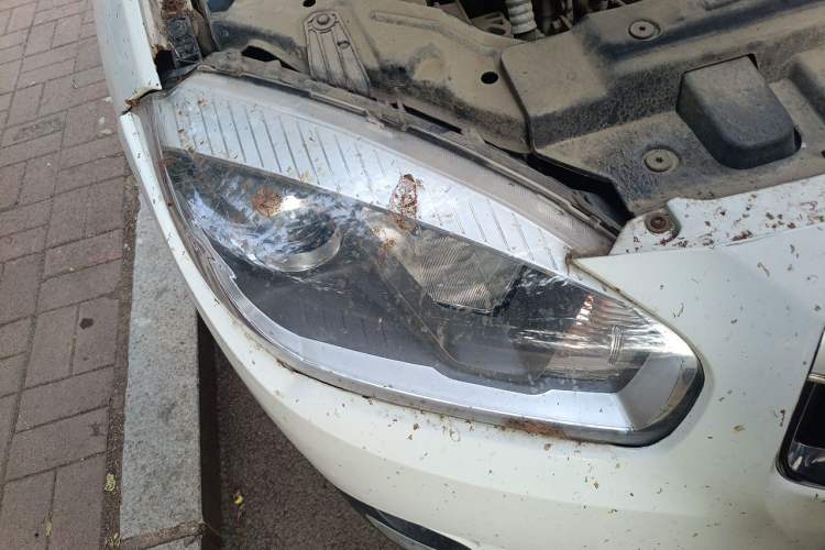 Used Brilliance V5 2016 1.5T Manual Two-Wheel Drive Smart Version Right Front Headlight