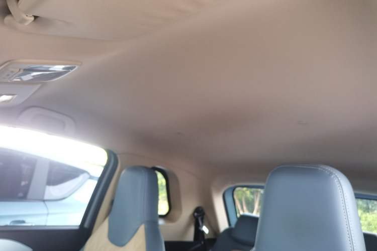 Used Brilliance Xinri i03 2021 318 km 31.45 kWh Headliner