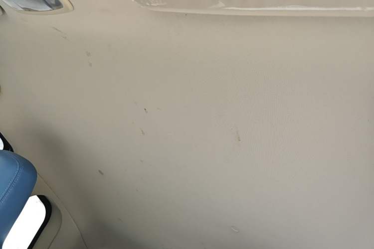Used Brilliance Xinri i03 2021 318 km 31.45 kWh Headliner
