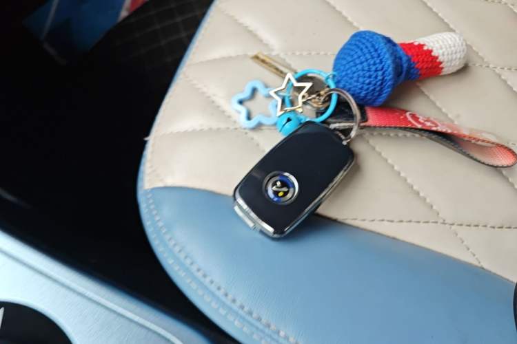 Used Brilliance Xinri i03 2021 318 km 31.45 kWh Vehicle Key