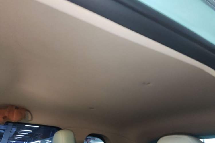 Used Brilliance Xinri i03 2021 318 km 31.45 kWh Headliner